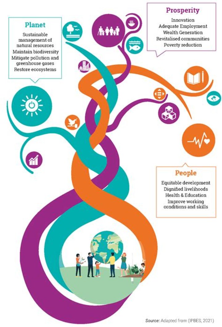 A Perfect Planet: Kpkuang's Vision For A Sustainable Future