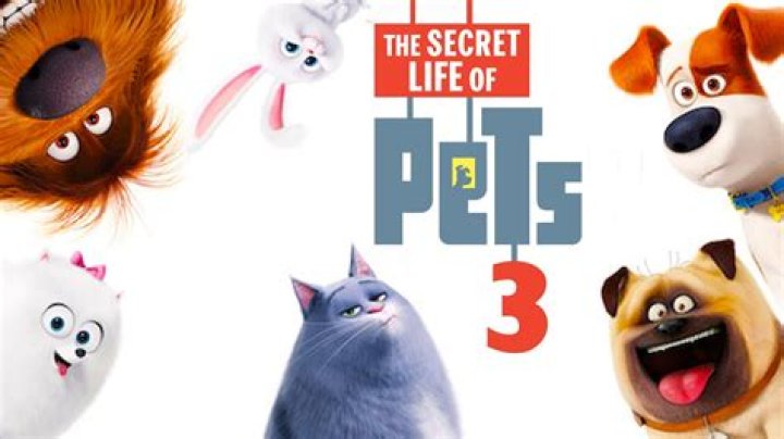 Behind The Voices: The Secret Life Of Pets Actors