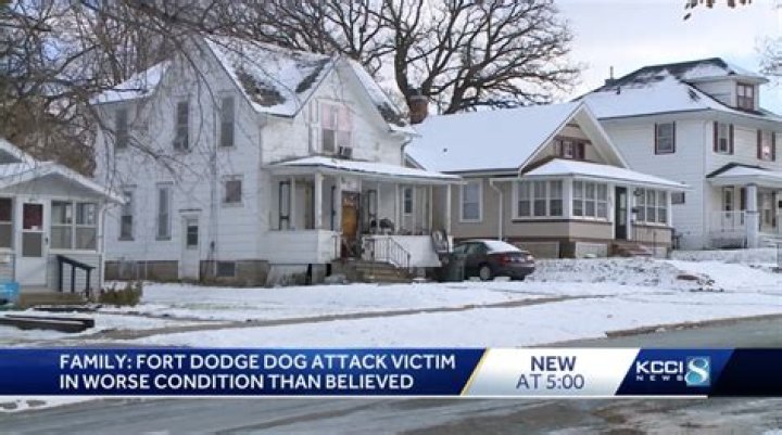 Brittany Skoland's Brave Encounter: Attacked By Dogs