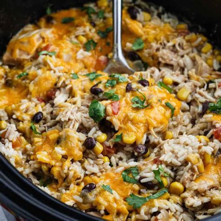 Delicious Queso Salsa Chicken And Rice: A Flavorful Delight