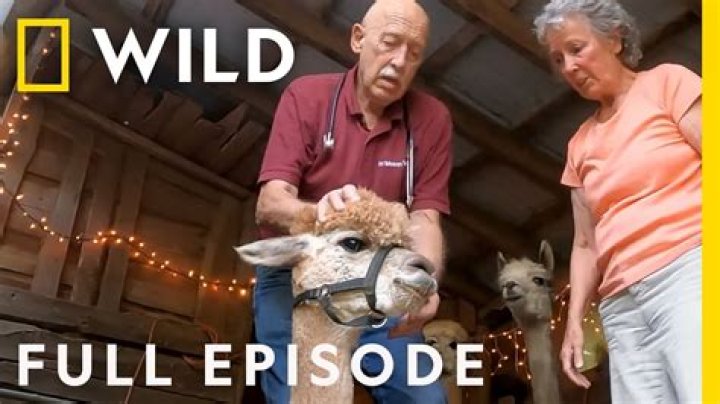 Did Dr. Pol Retire? The Truth Behind The Beloved Veterinarian's Journey