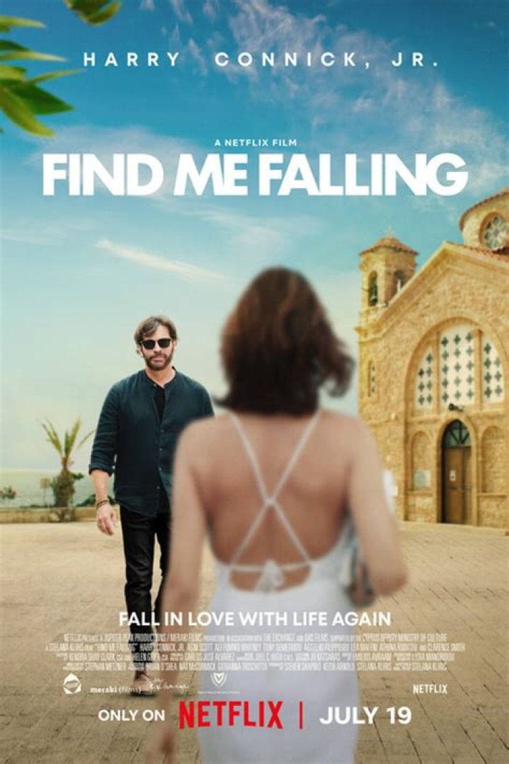 Discovering The Enigmatic World Of "Find Me Falling" Cast