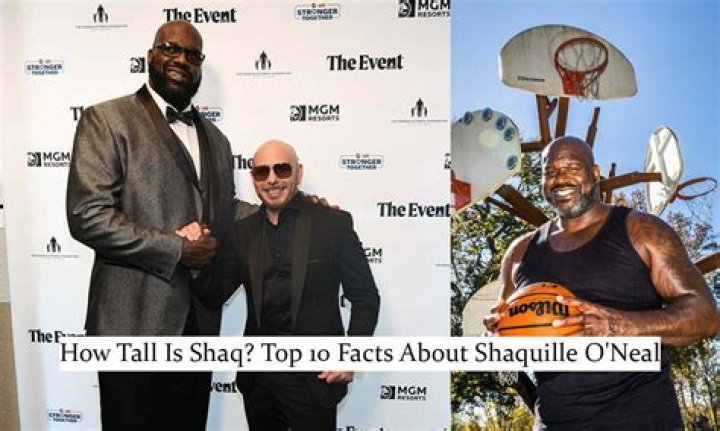Discovering The Towering Presence Of Shaquille O'Neal Height