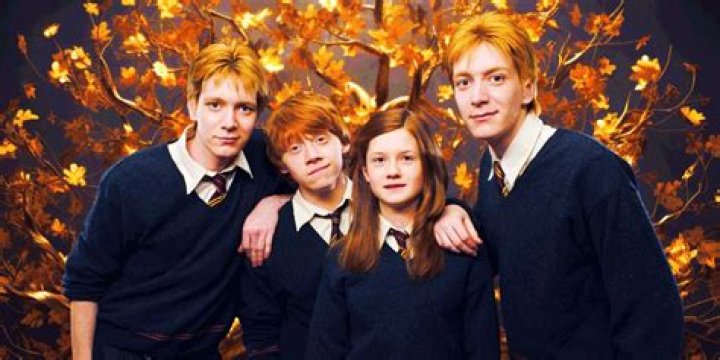 Embracing The Magic Of Family: Mrs. Weasley In The Harry Potter Series