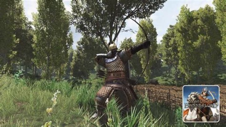 Exploring The Depths Of Mount And Blade Bannerlord Troop Trees