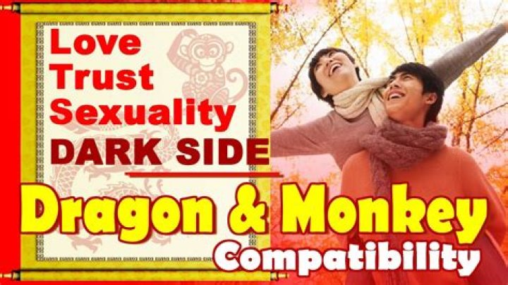 Exploring The Intriguing Compatibility Of Dragon And Monkey
