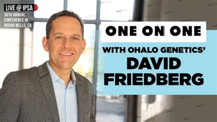 Exploring The Life And Achievements Of David Friedberg