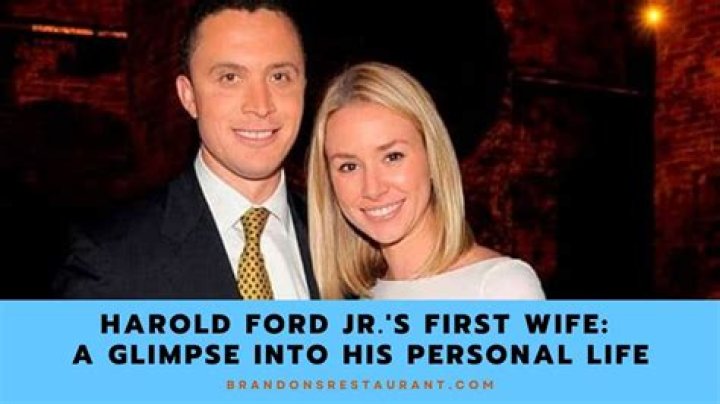 Exploring The Lives Of Harold Ford Jr.'s Wives