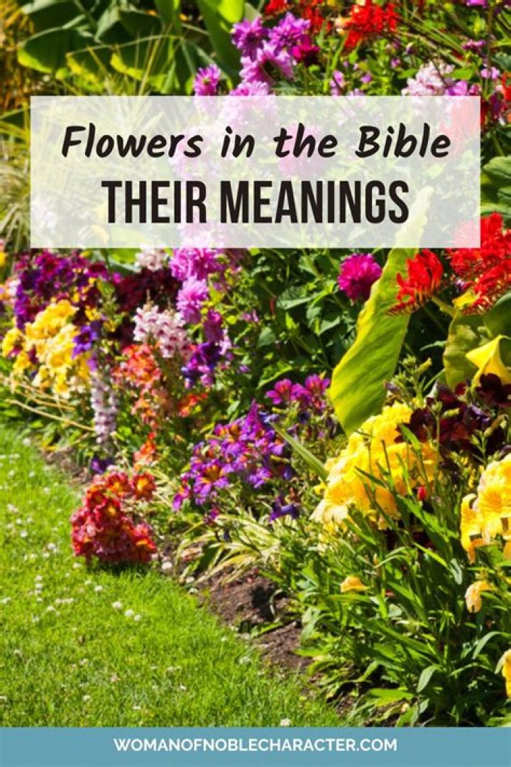 Flowers In The Bible: Scriptures Of Beauty And Fragrance