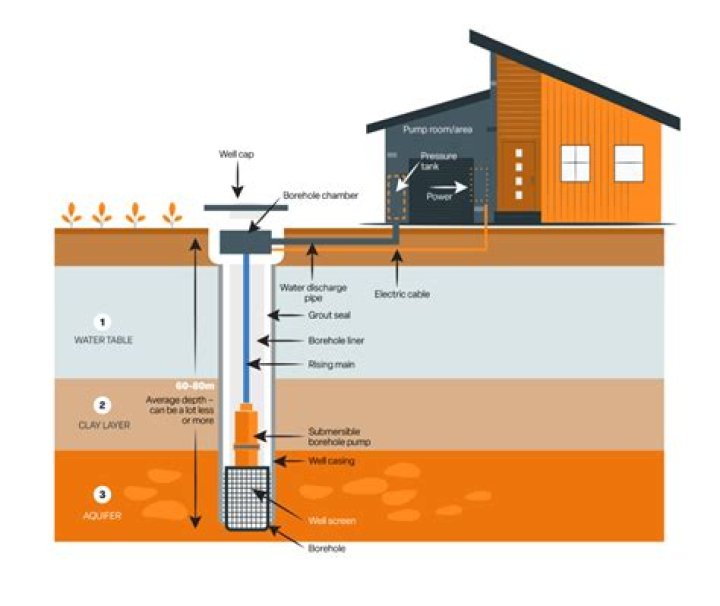 Is Shailene Woodley A Parent? Get The Facts