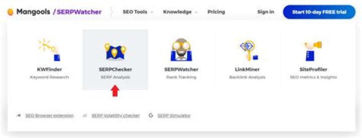 Mastering The Art Of SEO: How To Check Website Position On Google