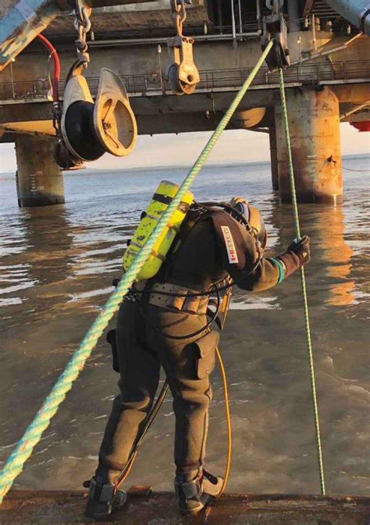 Patrick Byrne's Net Worth: A Deep Dive