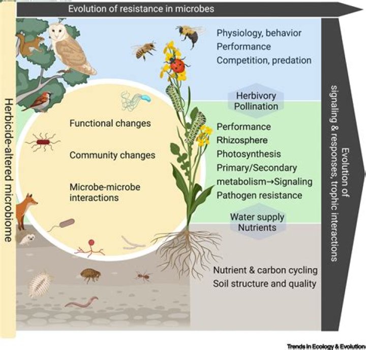 Rediscovering The Life And Impact Of Russel Hanz