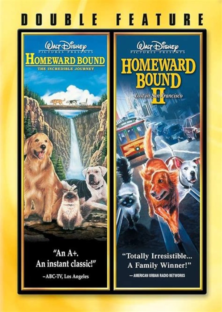 Riquelme's Legacy: The Incredible Journey Of His Son