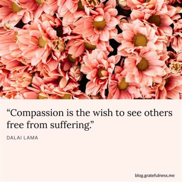 Sayings About Caring: Famous Quotes About The Power Of Compassion
