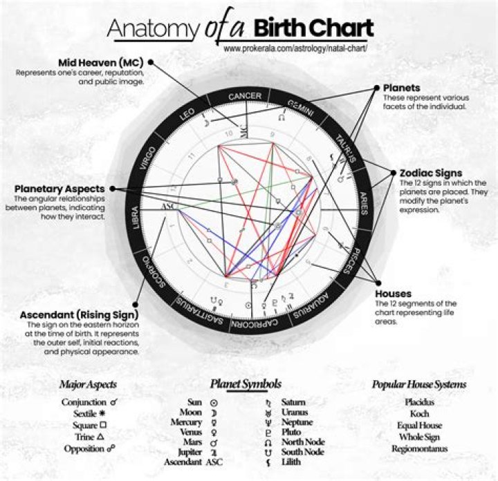 The Astounding Birth Chart Of Alex Pereira: Unlocking His Fighting Destiny