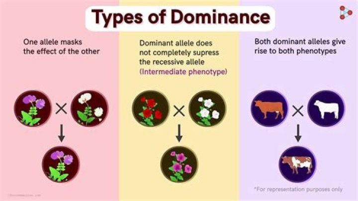 The Dominance Of Movies In Today's Entertainment Landscape