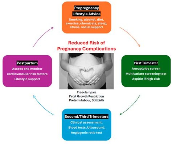 The Ultimate Lamine Mom Guide: Tips And Advice For A Successful Pregnancy