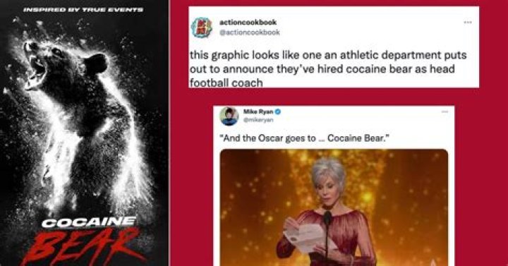 The Unforgettable Cocaine Bear Memes: Hilarious, Viral, And Unforgettable