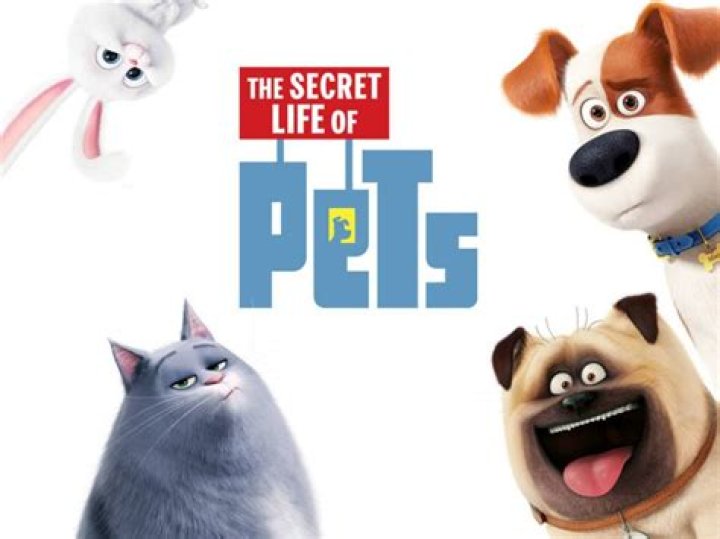 The Whimsical World Of The Secret Life Of Pets Cast