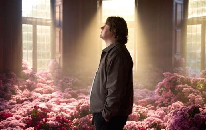 Understanding Lewis Capaldi's Weight Journey