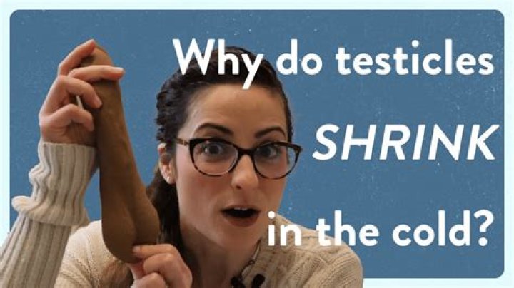 Understanding The Chill: Why Are My Testicles Cold?