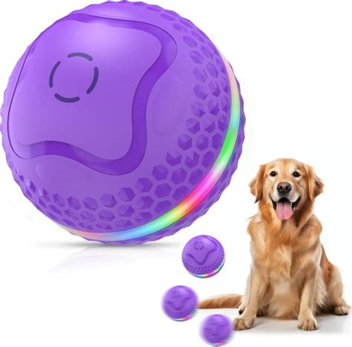 Unleashing Fun: The Pop Up Dog Ball Toy