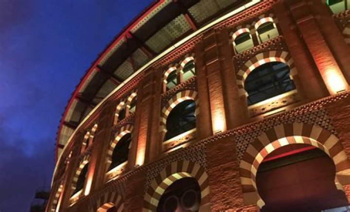 Unlocking The Fascination Of 300 Downloadhub