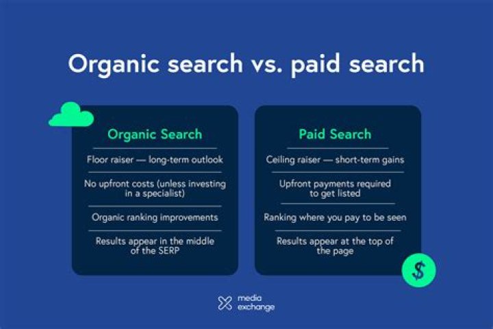 Unlocking The Power Of Organic Search Tools For Online Success