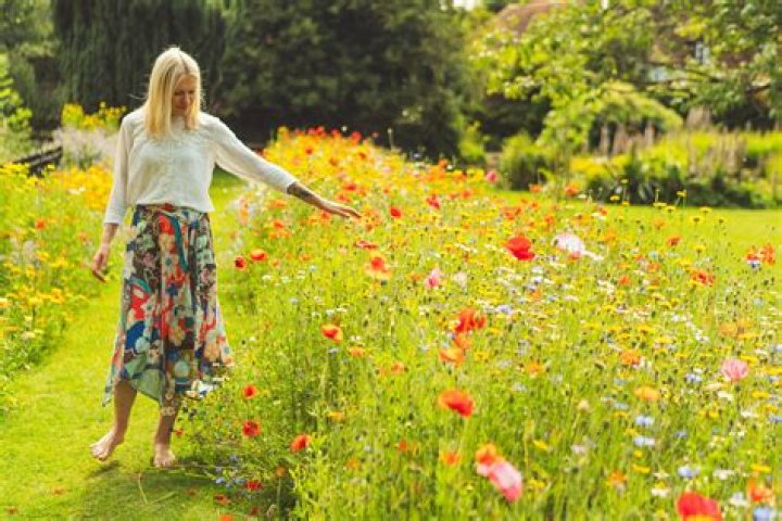 Unraveling The Controversy: The Paul Walker Pedo Allegations