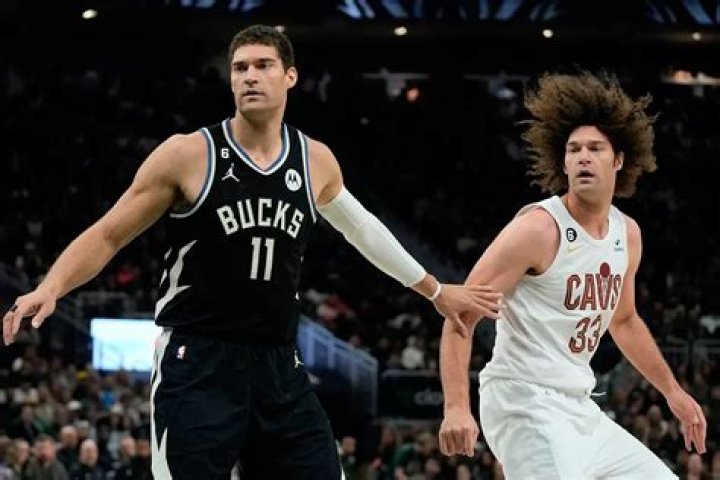 Unraveling The Dynamic Duo: Robin And Brook Lopez