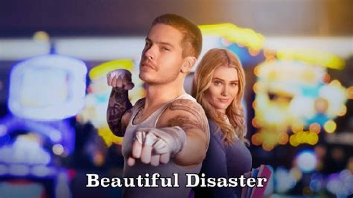 Unraveling The Mystery Of Beautiful Disaster Vietsub