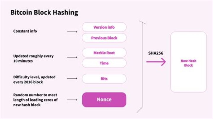 Unraveling The Mystery: Was Mr. Tumble A Nonce In Real Life?