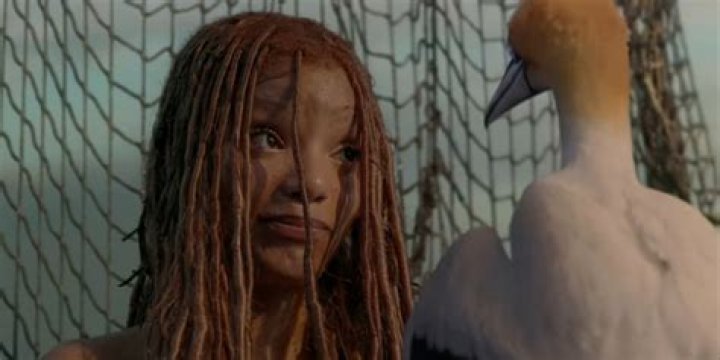 Unraveling The Uniqueness Of Awkwafina: The Rise Of A Multifaceted Talent