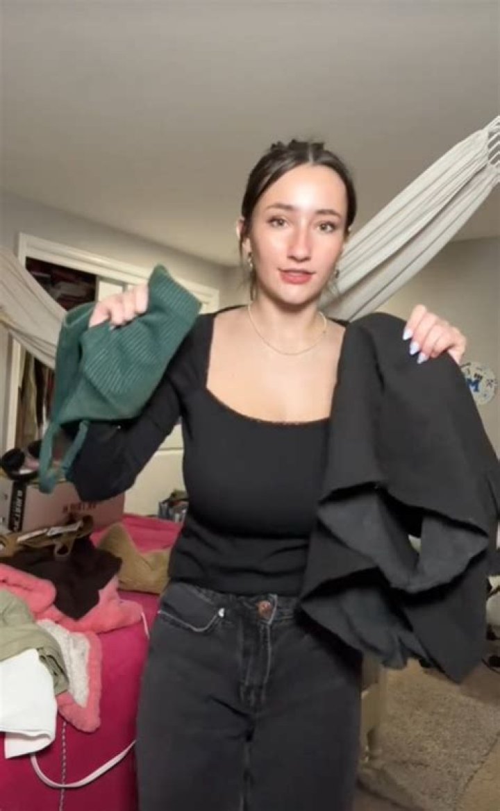 Unraveling The Whip It Dev Leaked Mystery