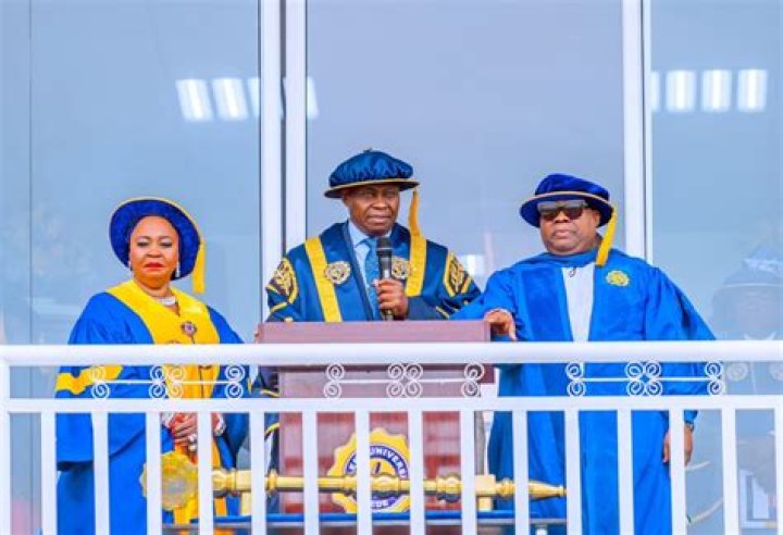 Unveiling Adedeji Adeleke's Net Worth: A Journey Through Wealth And Success