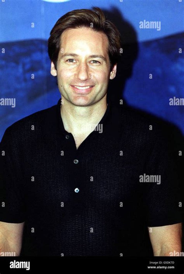Unveiling The Charisma Of Young David Duchovny