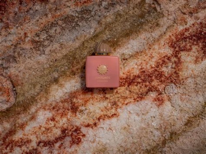 Unveiling The Essence Of Pobre Diablo: A Deep Dive Into Jay Rox Lyrics