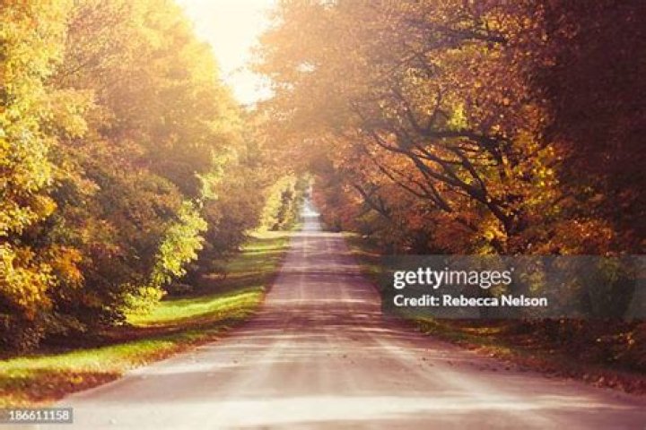 Unveiling The Life Of Autumn Nelson: A Journey Through Creativity And Passion