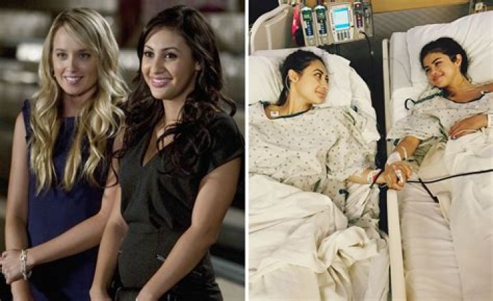 Unveiling The Life Of The CEO Of Airbnb's Wife