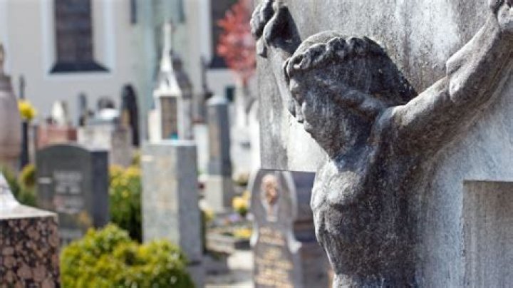 Unveiling The Meaning Of "Chérie Où Est Mon Bec" In English