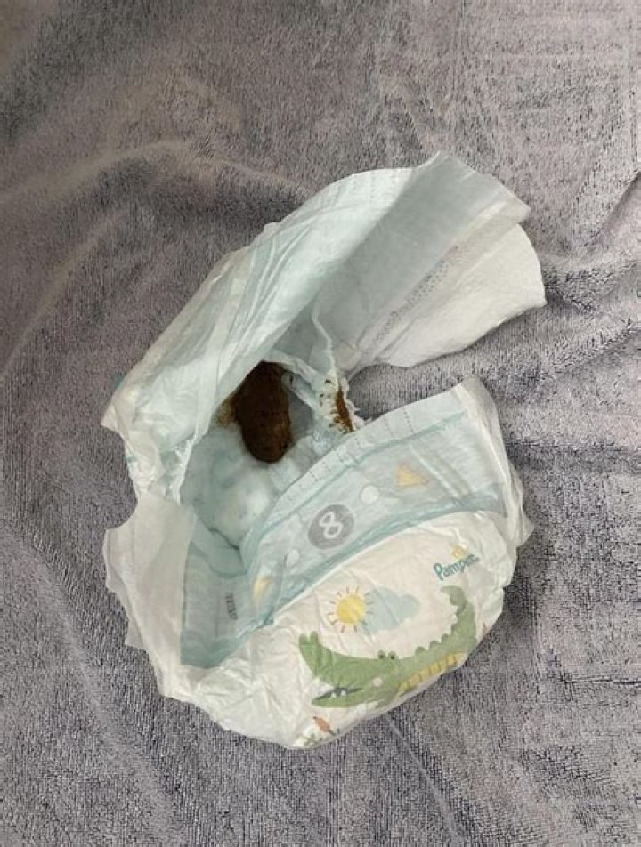 Unveiling The World Of Messing Diaper Videos: A Unique Perspective