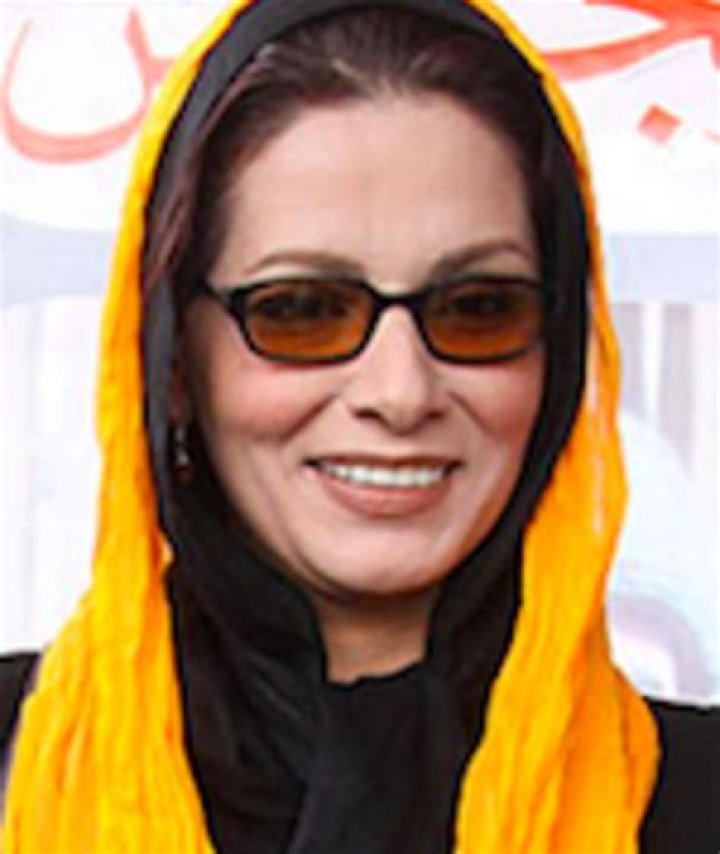 Unveiling Vahideh Mohammadifar: A Journey Through Art And Inspiration