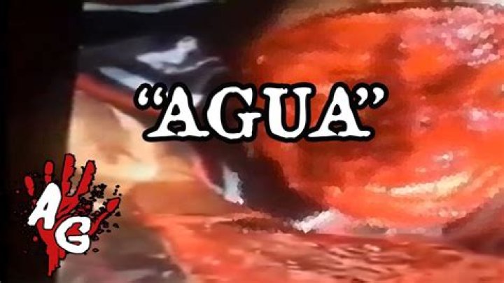 Watch The Original "Quiero Agua" Video | Uncensored And Unfiltered