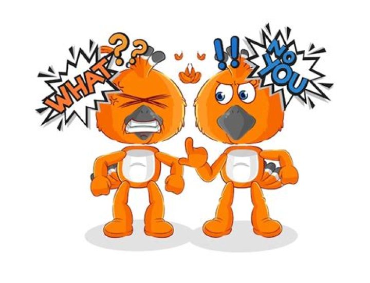 When Birds Disagree: A Closer Look At Bird Arguing