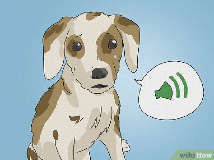 Whimpering Audio: The Art Of Sounding Vulnerable