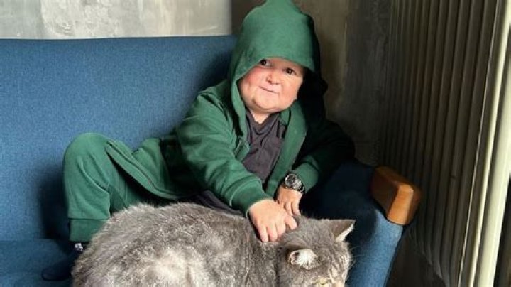 Who Is Habulla: The Ultimate Guide