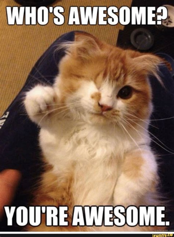 You’re Awesome Meme: A Celebration Of Positivity And Humor